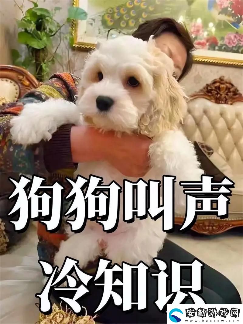 抖S狗狗要乖乖聽(tīng)主人的話