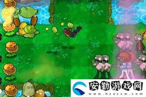 植物大戰(zhàn)僵尸雜交版冒險54關(guān)怎么放置植物