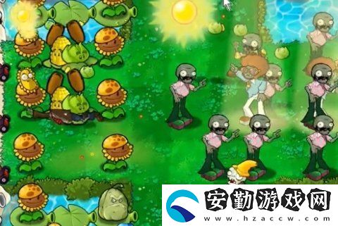 植物大戰(zhàn)僵尸雜交版冒險54關(guān)怎么放置植物