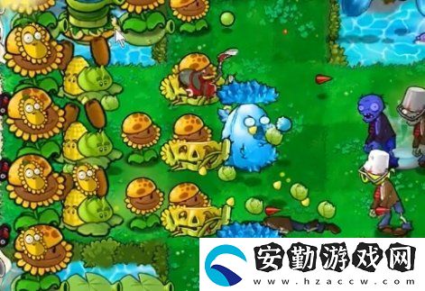 植物大戰(zhàn)僵尸雜交版冒險54關(guān)怎么放置植物