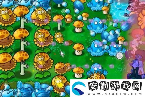 植物大戰(zhàn)僵尸雜交版冒險(xiǎn)55關(guān)怎么不用小車過關(guān)