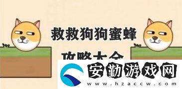 救救狗狗蜜蜂攻略大全