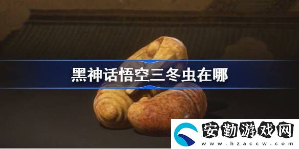 三冬蟲位置