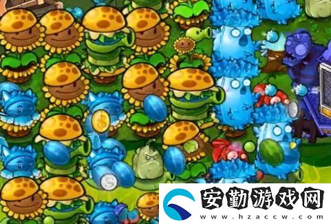 植物大戰(zhàn)僵尸雜交版冒險64關怎么放置植物