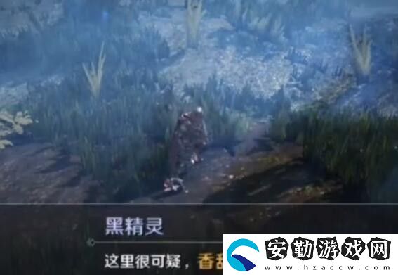 黑色沙漠手游華麗的空殼任務(wù)怎么做
