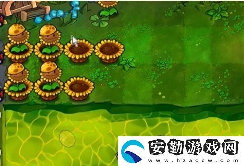 植物大戰(zhàn)僵尸雜交版冒險64關怎么放置植物