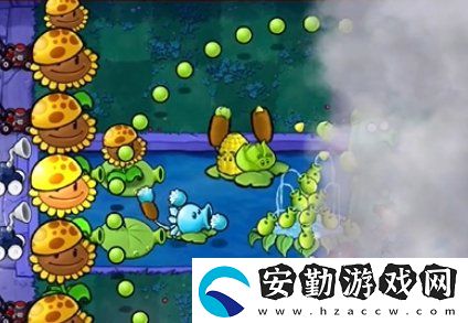植物大戰(zhàn)僵尸雜交版冒險(xiǎn)21關(guān)怎么過關(guān)