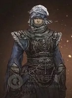 艾爾登法環(huán)職業(yè)大全