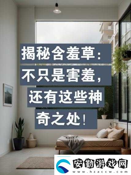 含羞草實(shí)驗(yàn)視秀恩愛(ài)