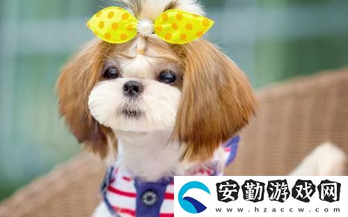 修狗梗的含義介紹