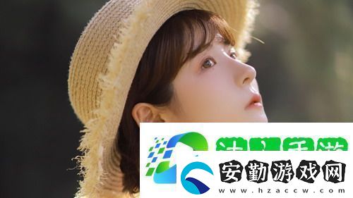 日本人使用的免費(fèi)saas