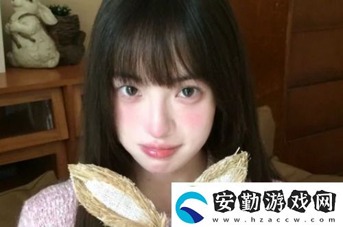 美國人與動物膠配方大全