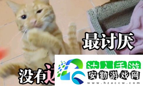 討厭沒有邊界感的人是什么梗網(wǎng)絡(luò)用語
