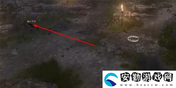 博德之門(mén)3里拉琴怎么獲得