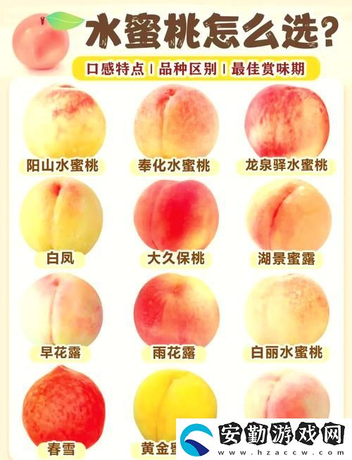 蜜桃精產(chǎn)品二三三區(qū)