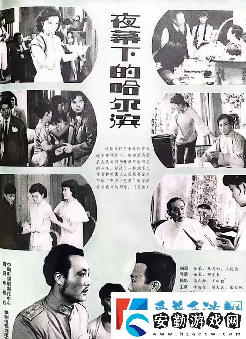 探索“丁香花影院免費觀看電視劇哈爾濱”的魅力與獨特體驗