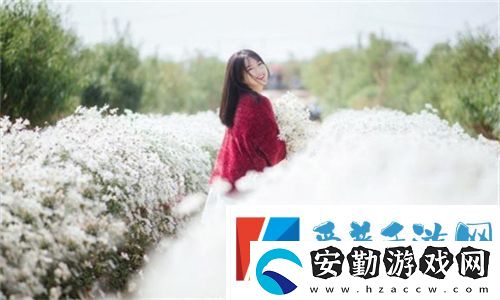 妻子6在線觀看免費(fèi)版電視劇