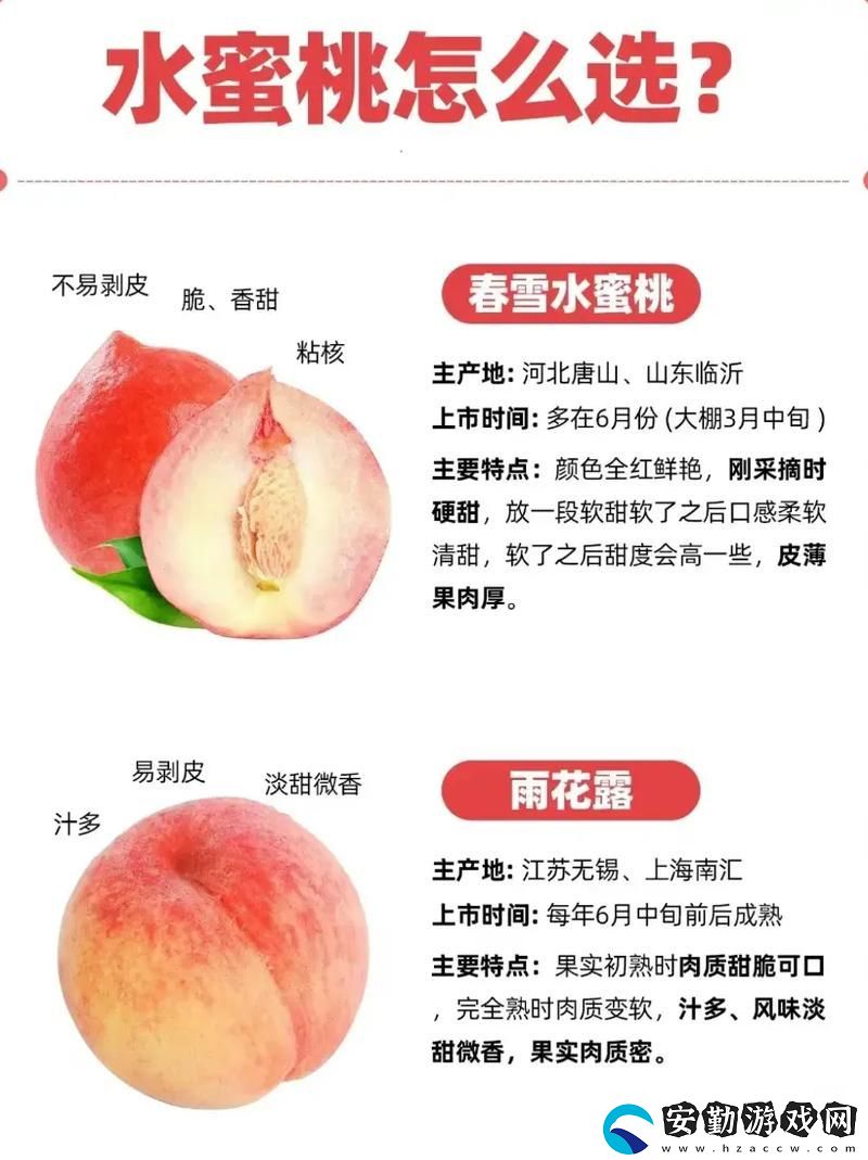 一區(qū)二區(qū)三區(qū)水蜜桃
