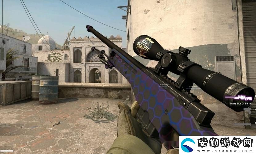 日本CSGO大姐姐AWP