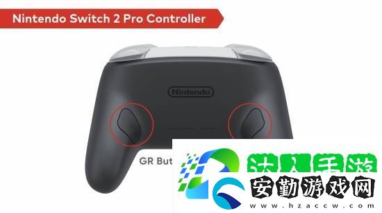 NS2新款Pro手柄公開