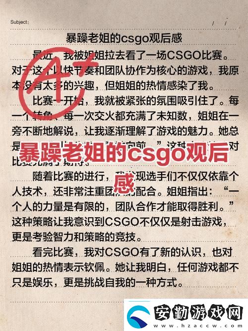 暴躁老姐的CSGO心得分享視頻流暢不卡頓網(wǎng)友