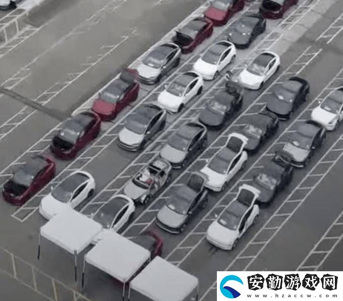 特斯拉平價(jià)新車型“Model